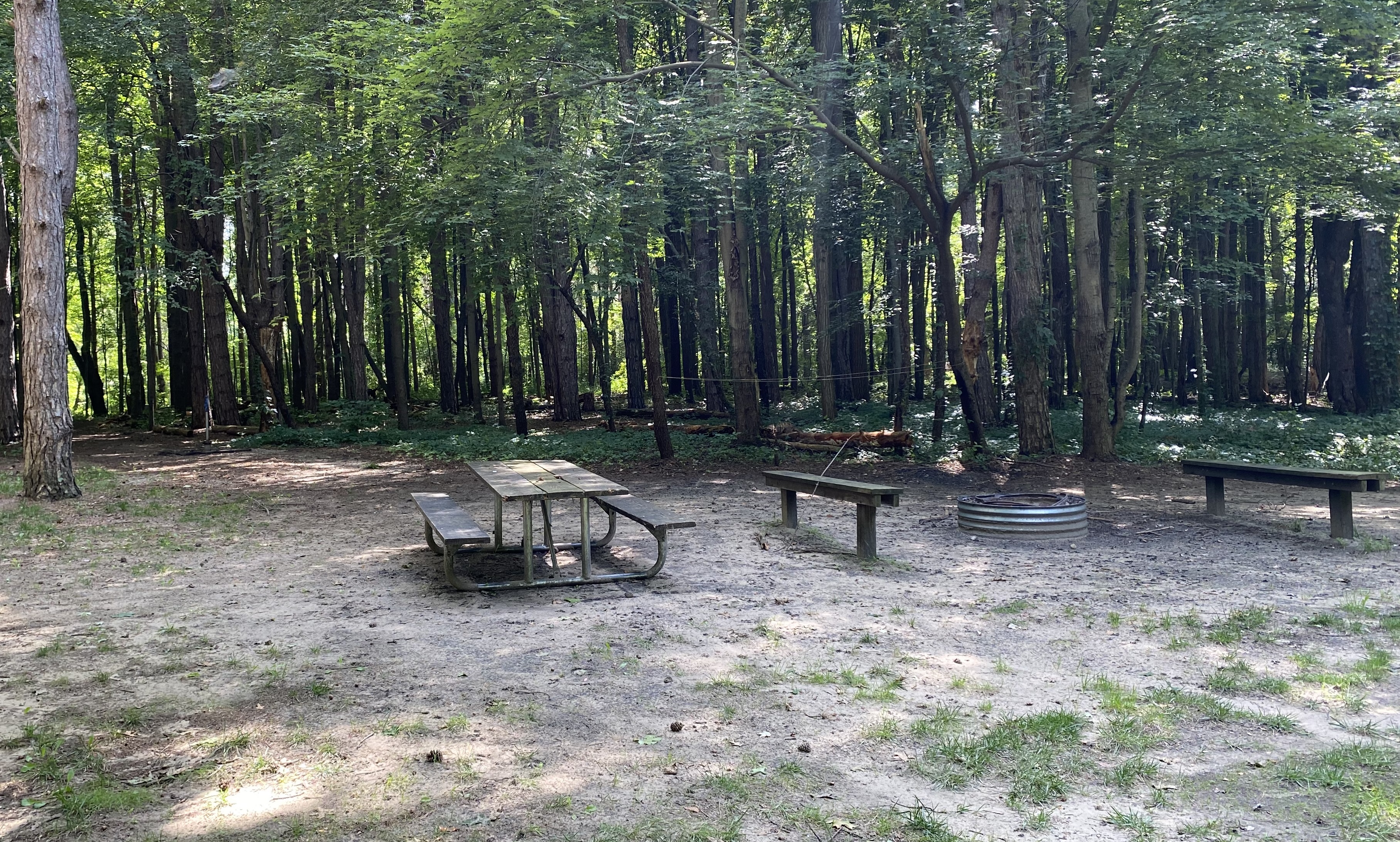 Image for Tent Site 9